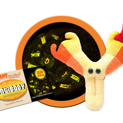 Antibody plushie with informational tag