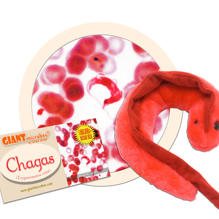 Chagas 