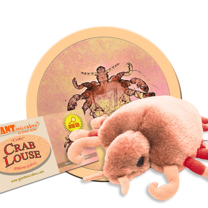 Crab Louse- With Informational Tag