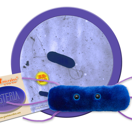 Listeria