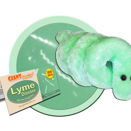 Lyme Disease- With Informational Tag