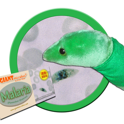 Malaria- Classic- With Informational Tag