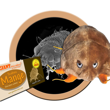 Mange