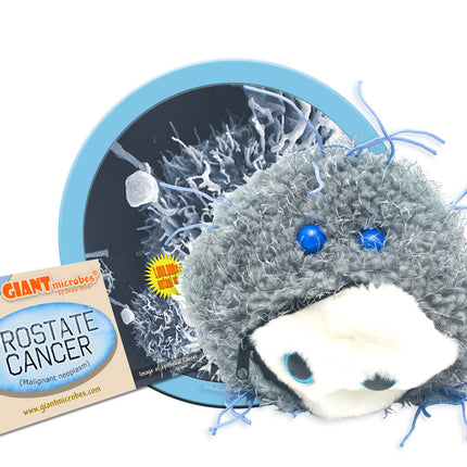 Prostate Cancer