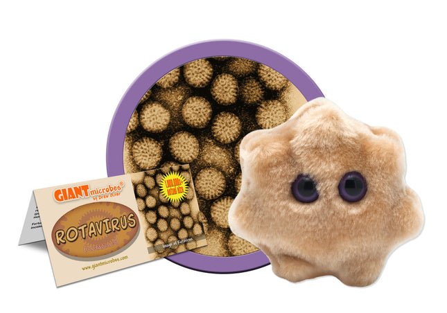 Rotavirus