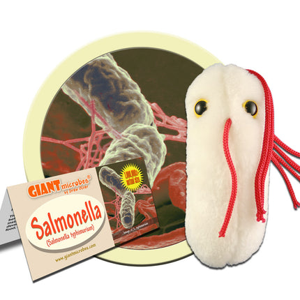Salmonella- with informational tag