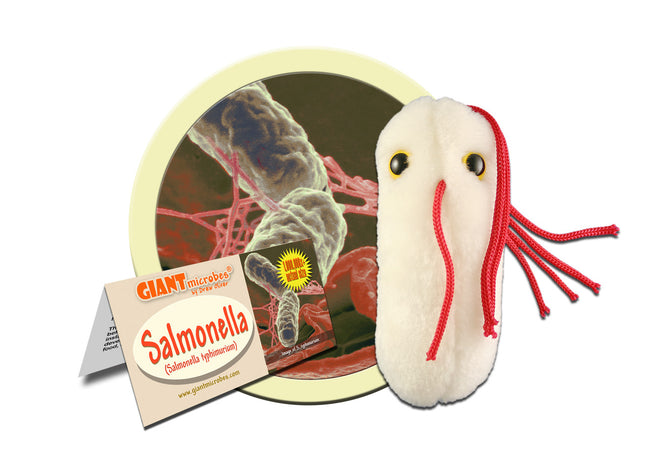 Salmonella- with informational tag