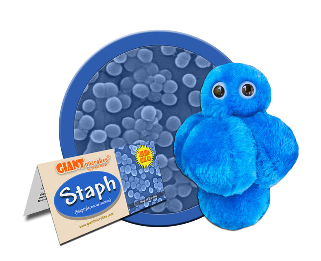 Staph with informational tag