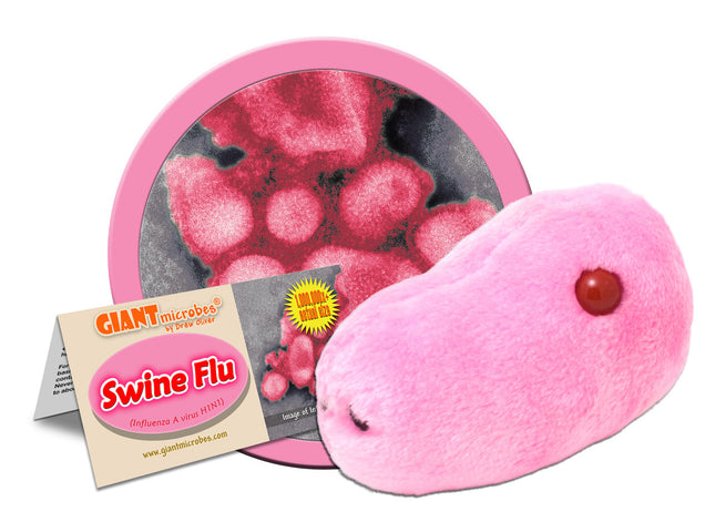 Swine Flu with informational tag