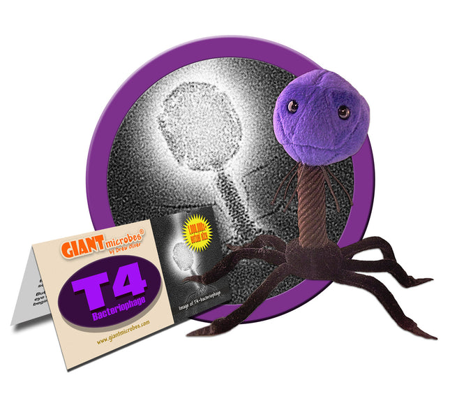 T4 with informational tags