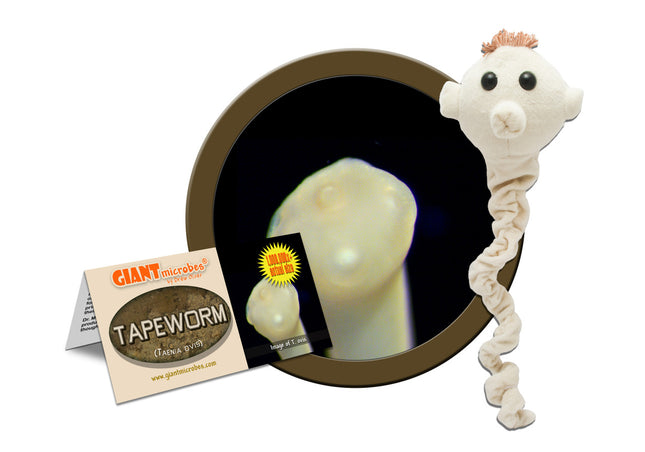 Tapeworm with informational tag