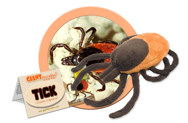 Tick plushie with informational tag