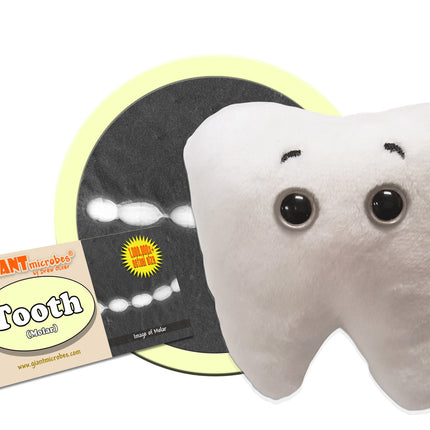 Tooth