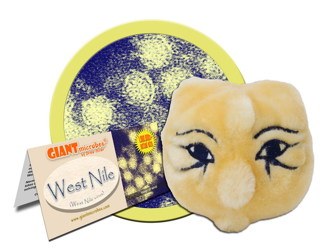 West Nile Virus