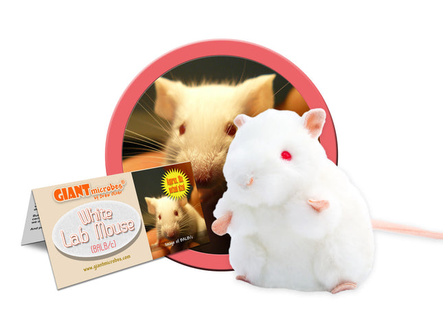 White Lab Mouse