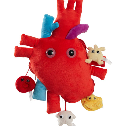 X-Large Heart with Mini Blood Cells
