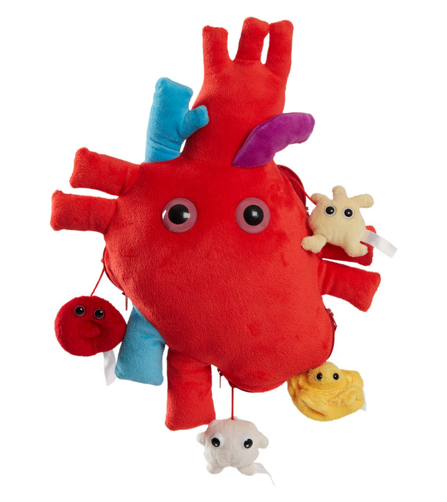 X-Large Heart with Mini Blood Cells