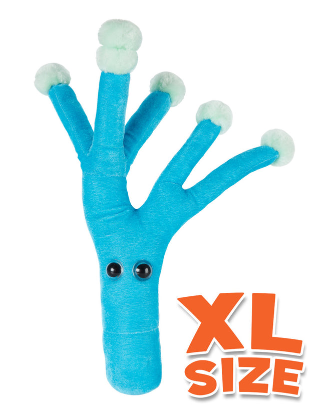 10 Inch Extra Large Penicillin