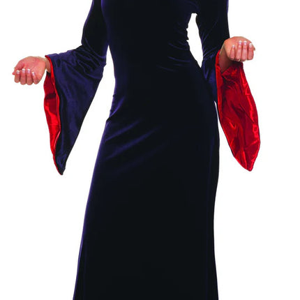 Gothica Hooded Sorceress Costume- front view