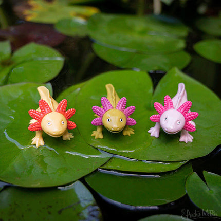 Happy Axolotl