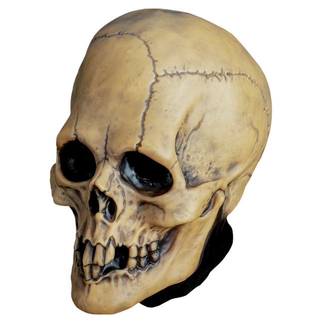 Mabry Monsters - Voodoo Skull Masks