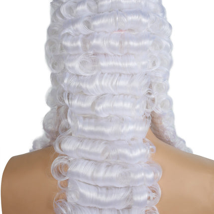Back of English Judge Wig