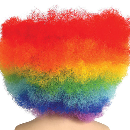 Rainbow Wig