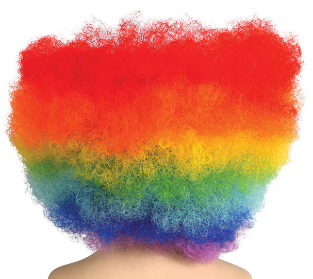 Rainbow Wig