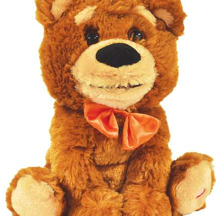 POSSESSED TEDDY BEAR