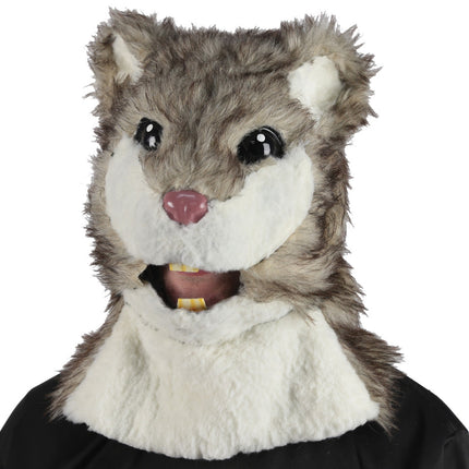 HAMSTER OVERHEAD