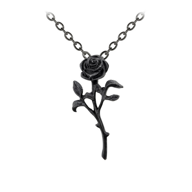 The Romance of The Black Rose Pendant- close up