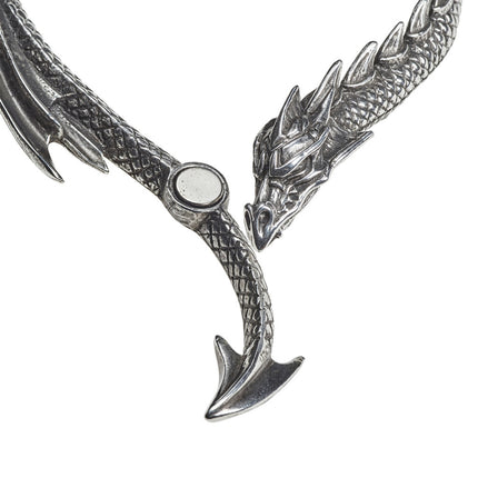 Dragons Lure Necklace- magnet front side