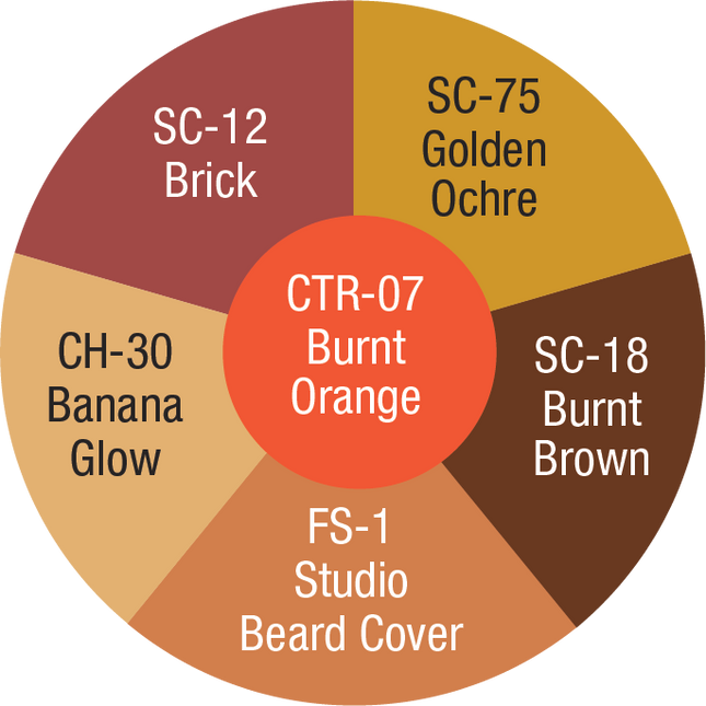 Mojave Medium-Dark Corrector/ Tattoo Cover Wheel- shades