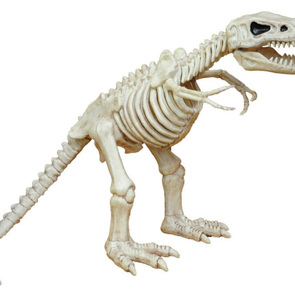 T-Rex Skeleton