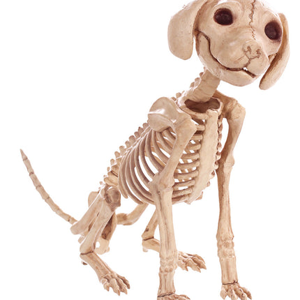 PUPPY SITTING SKELEBONES