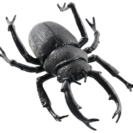 Giant Black Beetle