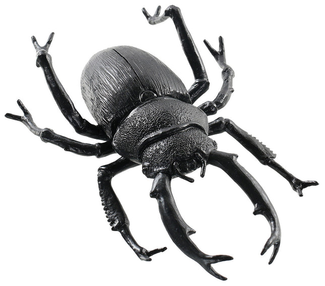 Giant Black Beetle