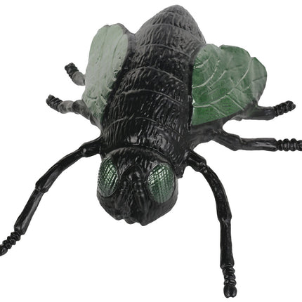 Giant six inch house fly