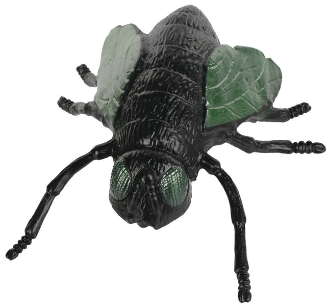 Giant six inch house fly
