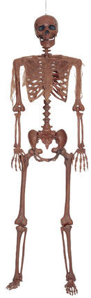 Decayed poseable skeleton