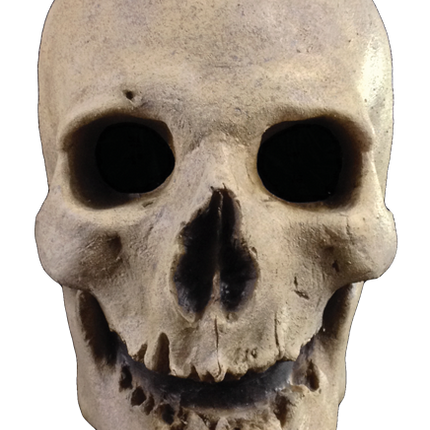 Front view of Antique Skull Mask