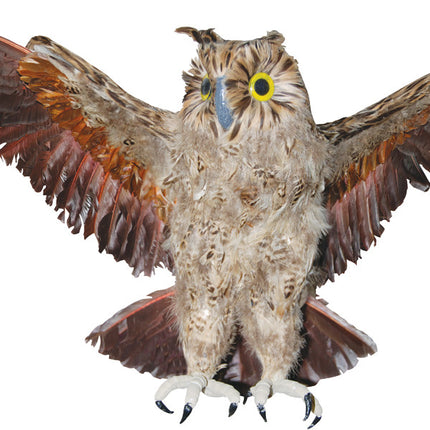 OWL BROWN LARGE