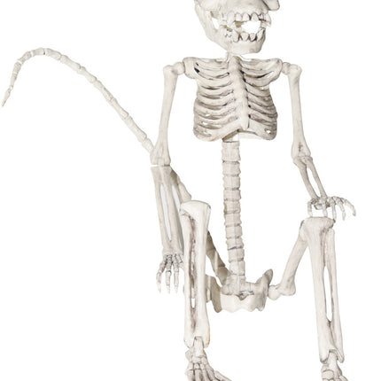 MONKEY SKELETON 23 IN.