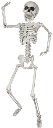 SKELETON 24 IN.