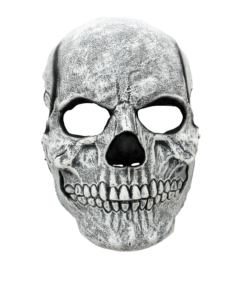 White Skull Mask- front view