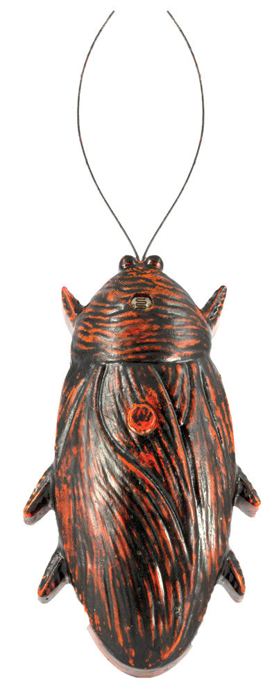 HIDDEN SCREAMER COCKROACH