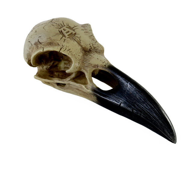 Corvus Alchemia Skull- angled view