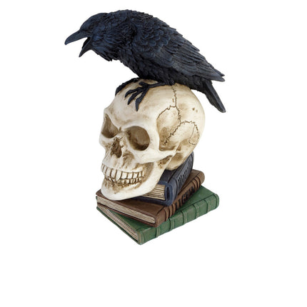 Poe's Raven Skull- angled view
