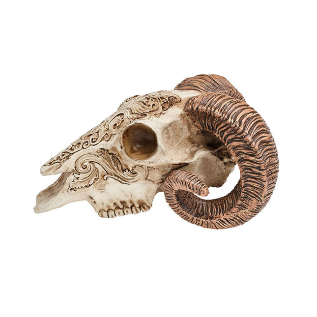 Scrimshaw Ram Skull- side view