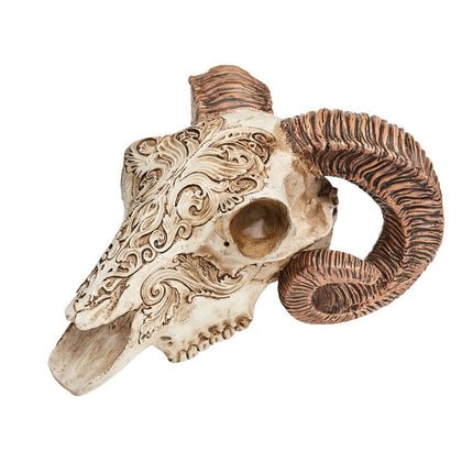 Scrimshaw Ram Skull- angled view